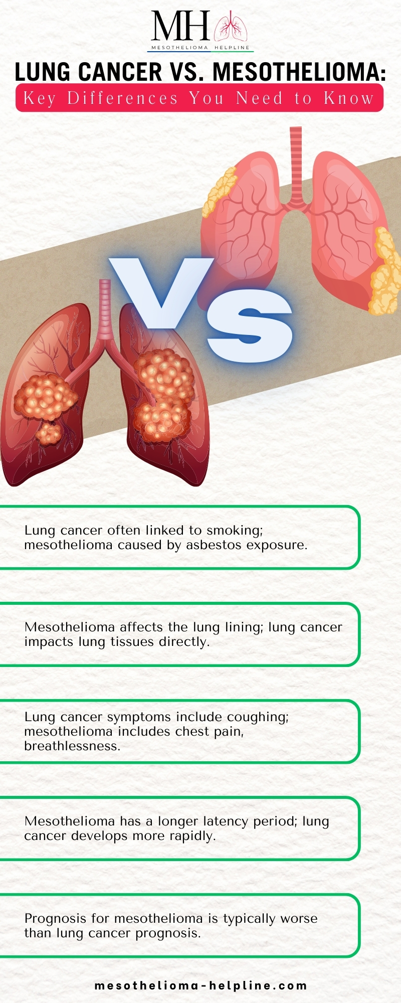 Difference Between Lung Cancer and Mesothelioma  | Learn Symptoms and Prognosis